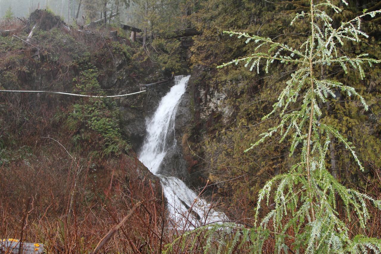 Tilby'S Rainbow Cottage Port Renfrew Extérieur photo