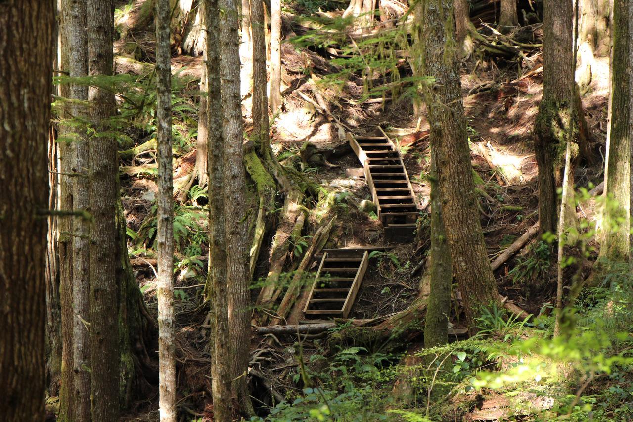 Tilby'S Rainbow Cottage Port Renfrew Extérieur photo