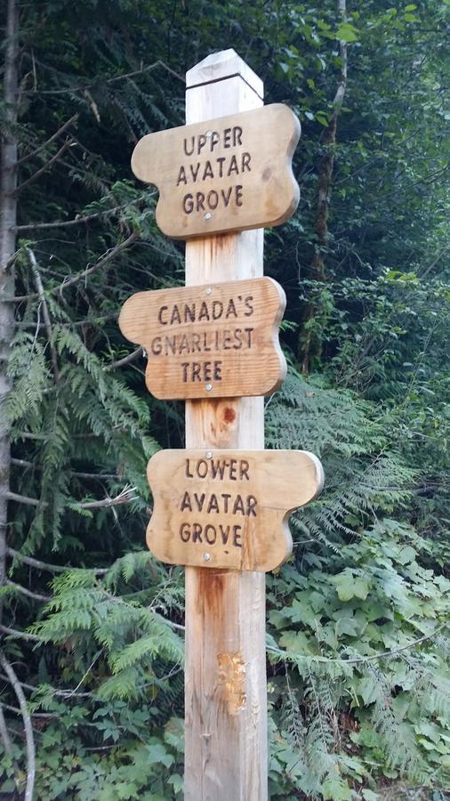 Tilby'S Rainbow Cottage Port Renfrew Extérieur photo